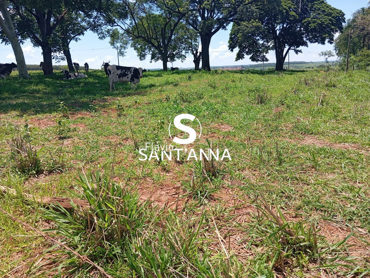 Sítio, 3 quartos, 4 m² - Foto 5