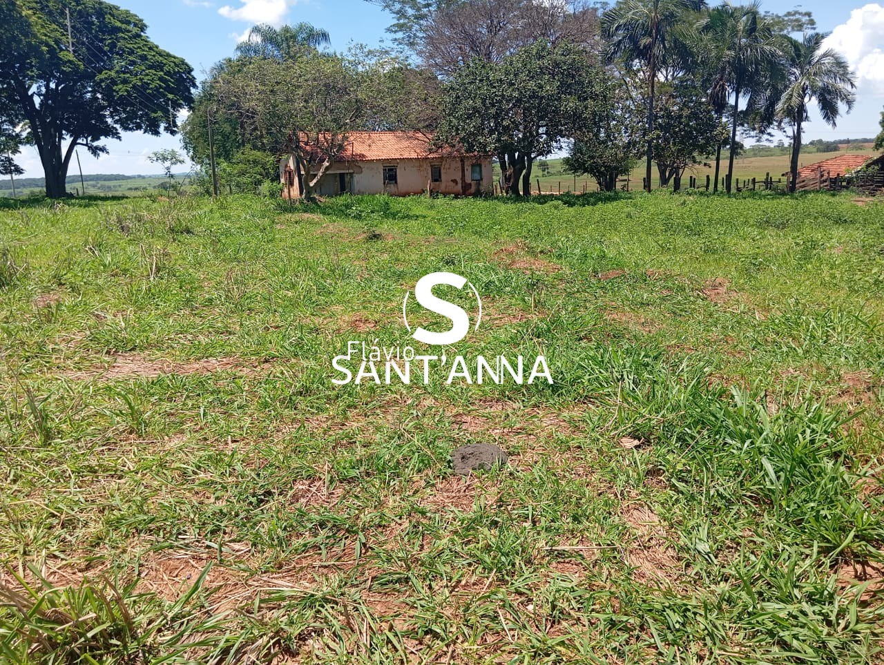 Sítio, 3 quartos, 4 m² - Foto 19