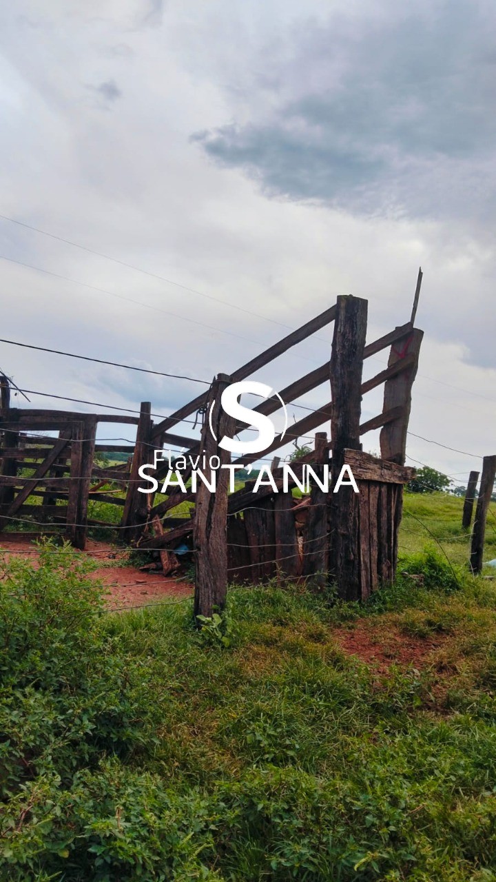 Fazenda - Foto 6