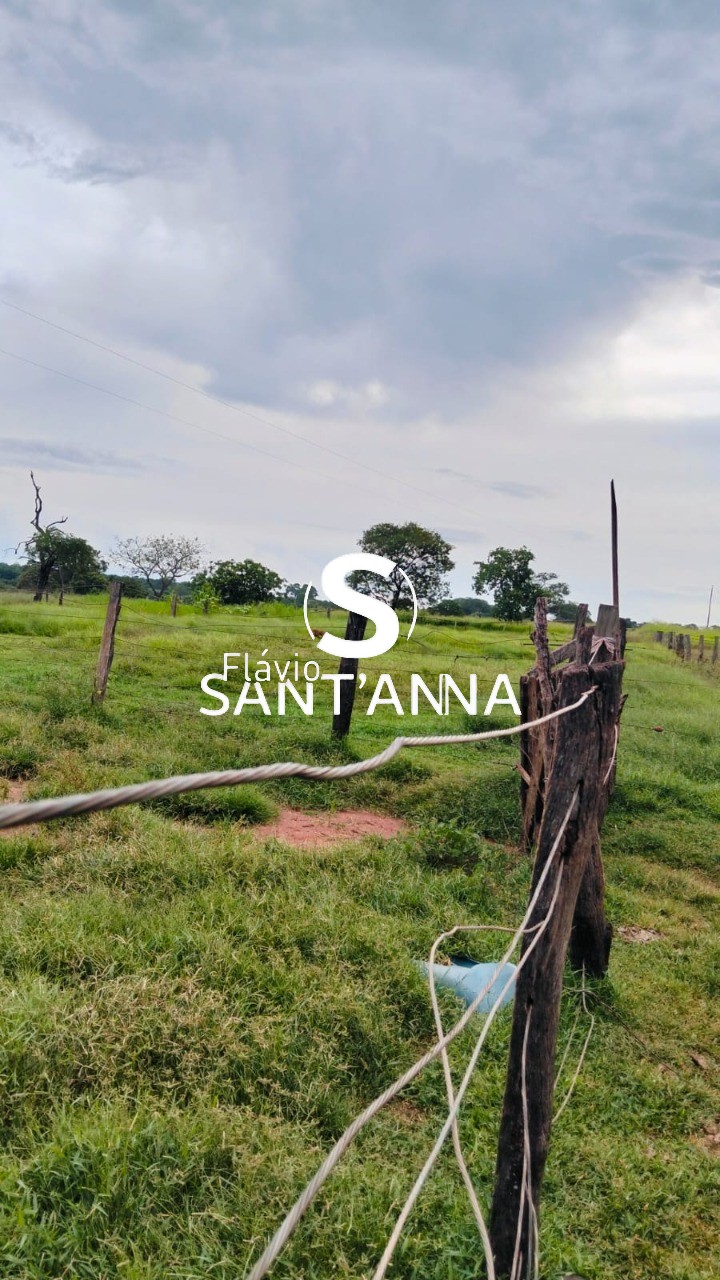 Fazenda - Foto 4