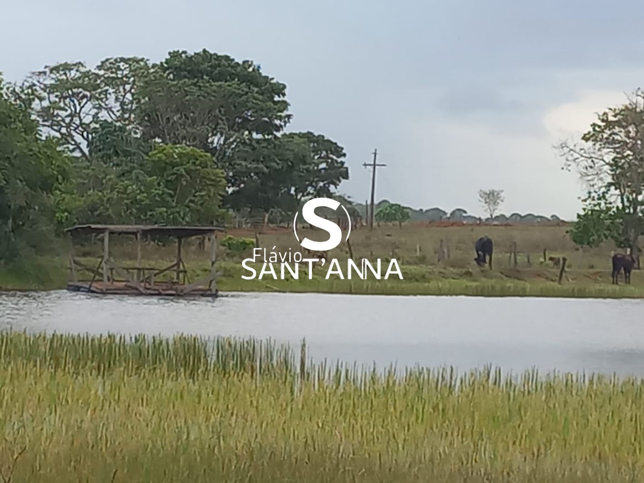 Fazenda - Foto 8