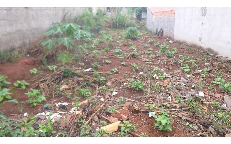 Terreno - Foto 3