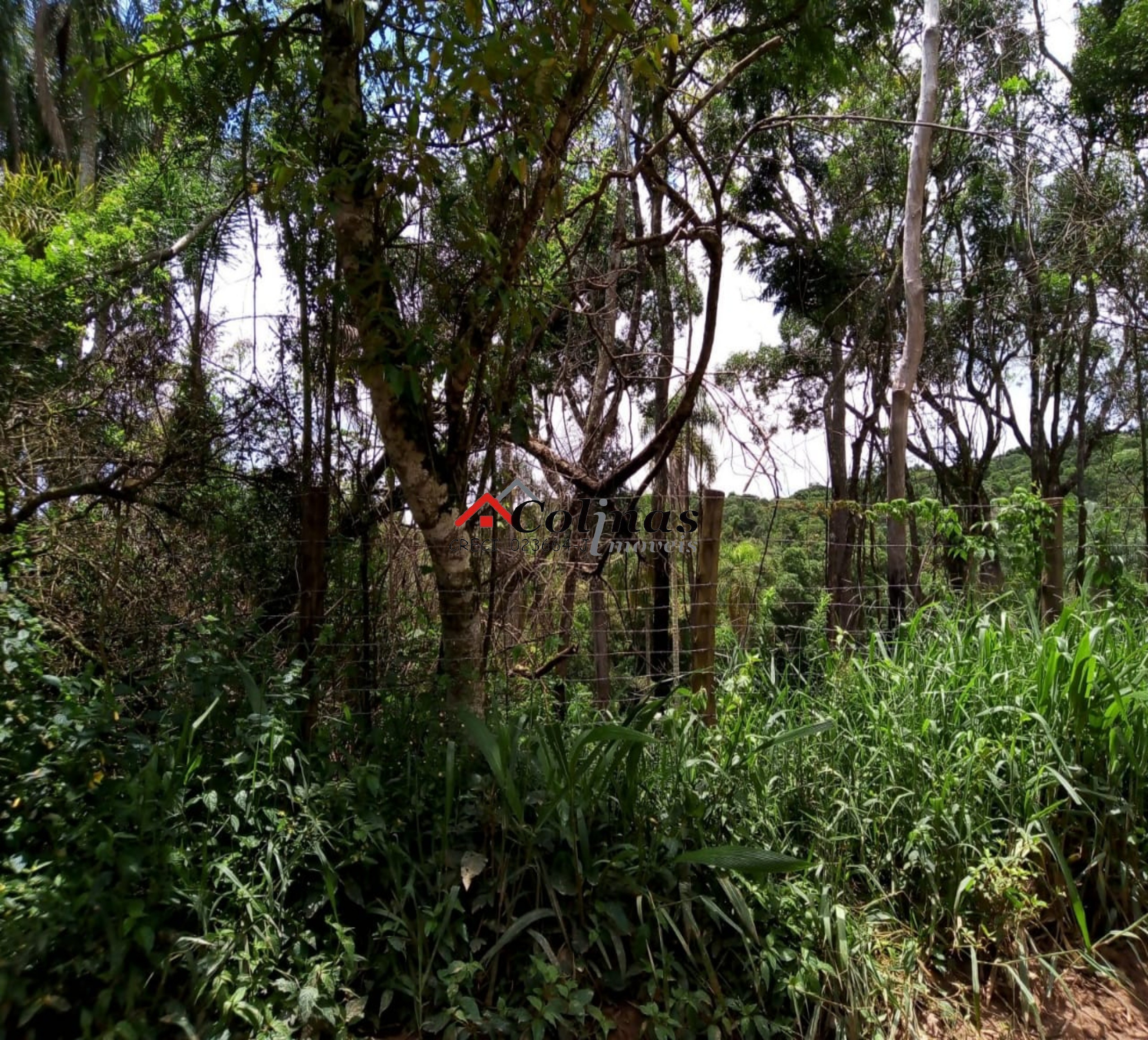 Terreno, 1600 m² - Foto 29