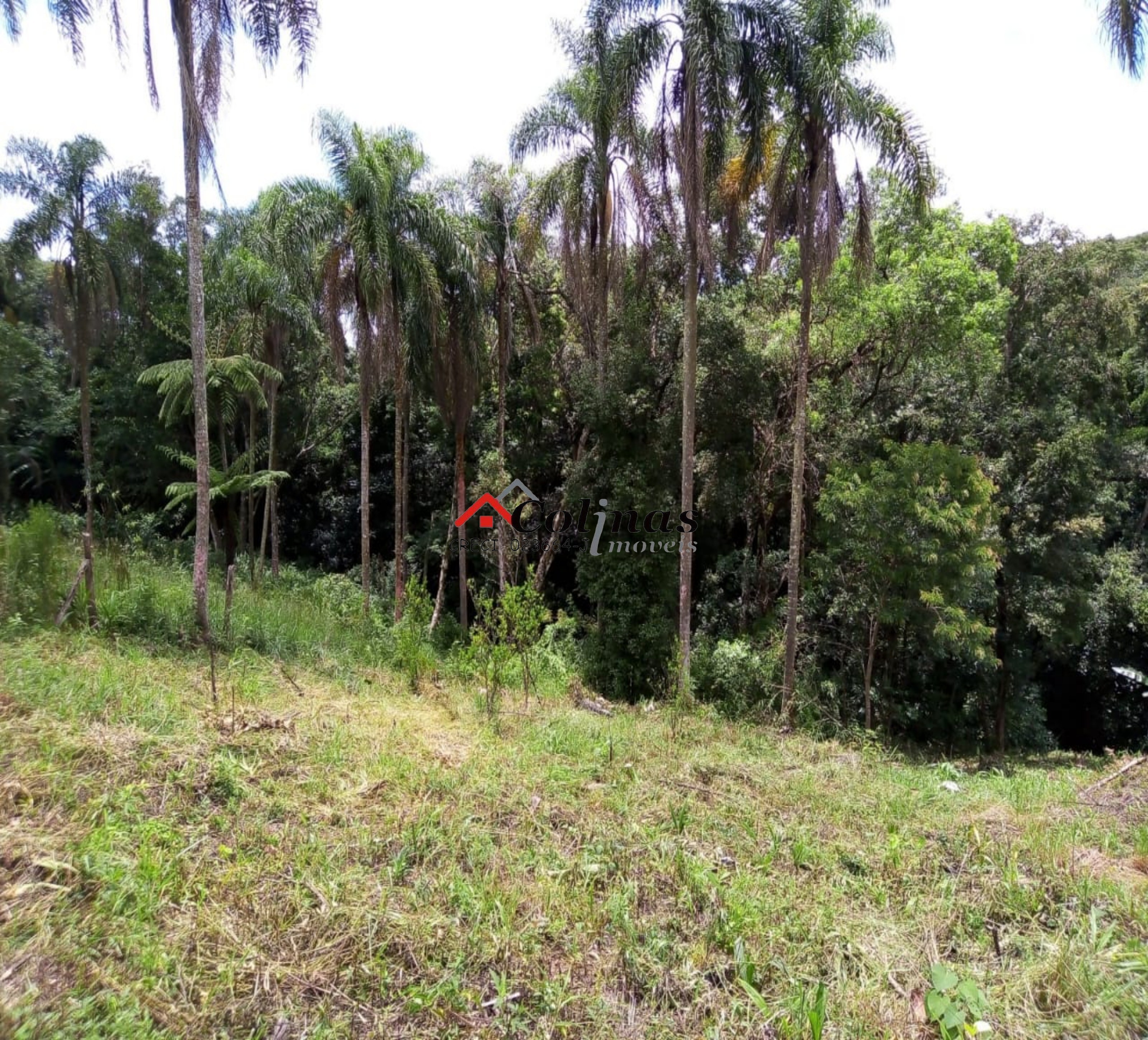 Terreno, 1600 m² - Foto 9