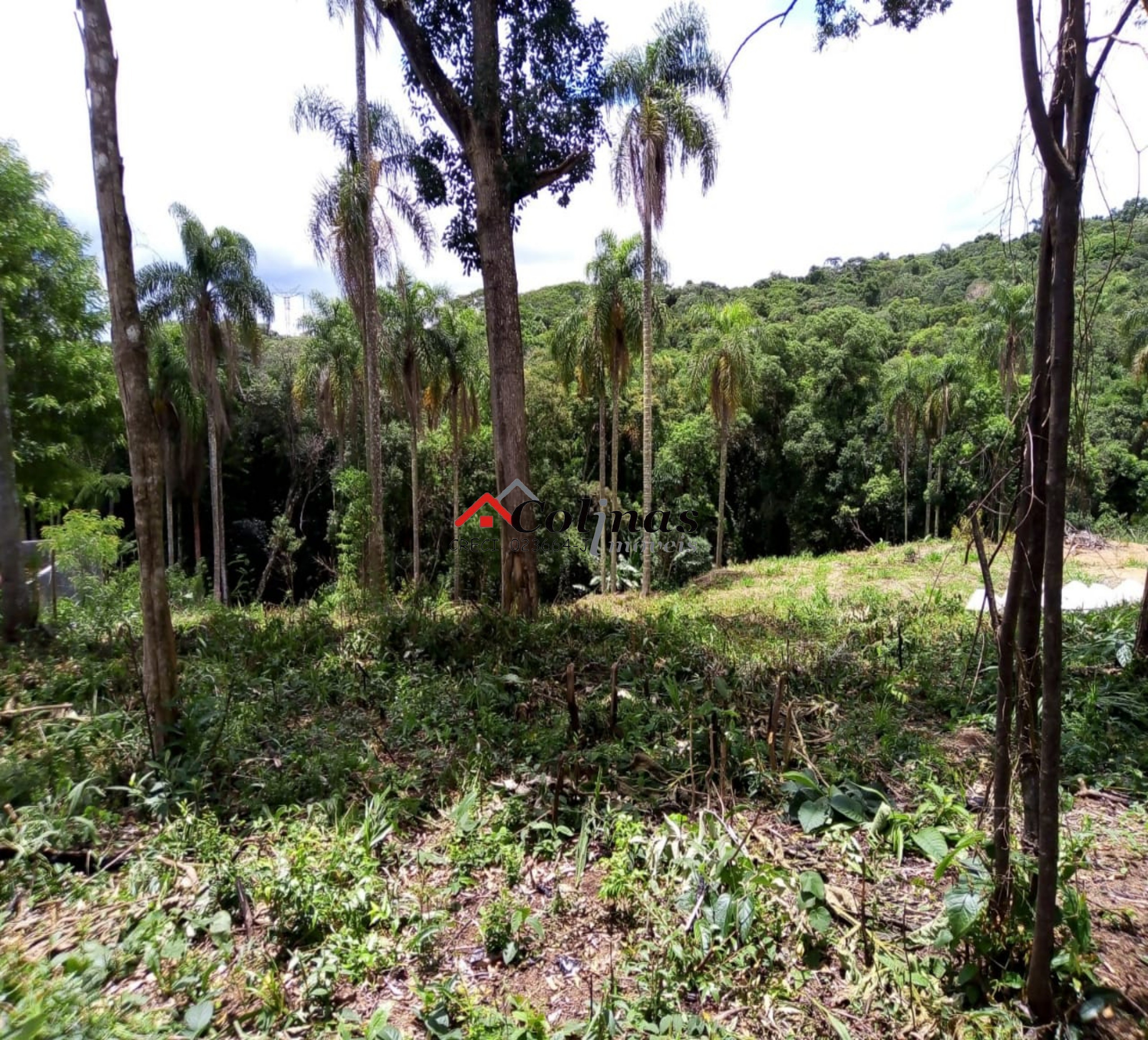 Terreno, 1600 m² - Foto 14