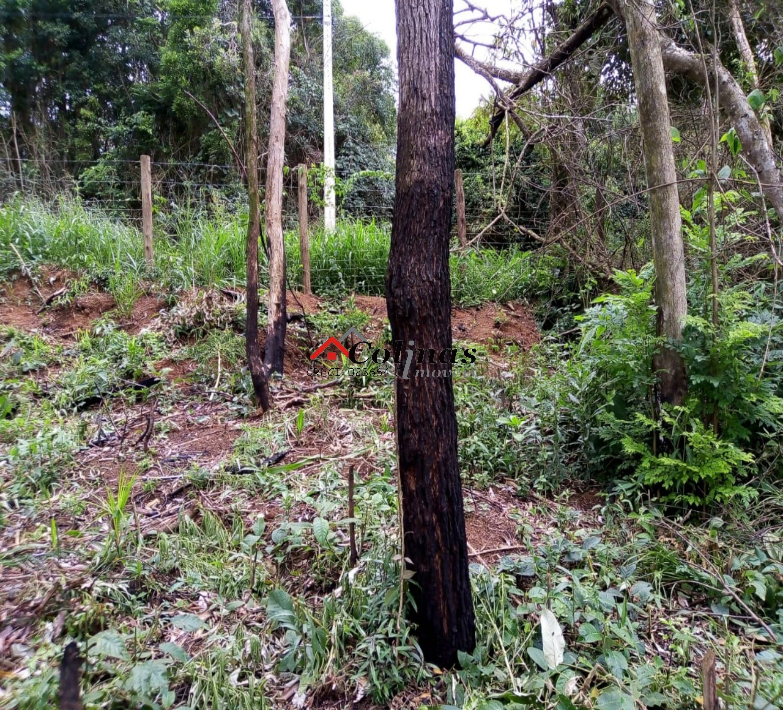 Terreno, 1600 m² - Foto 12