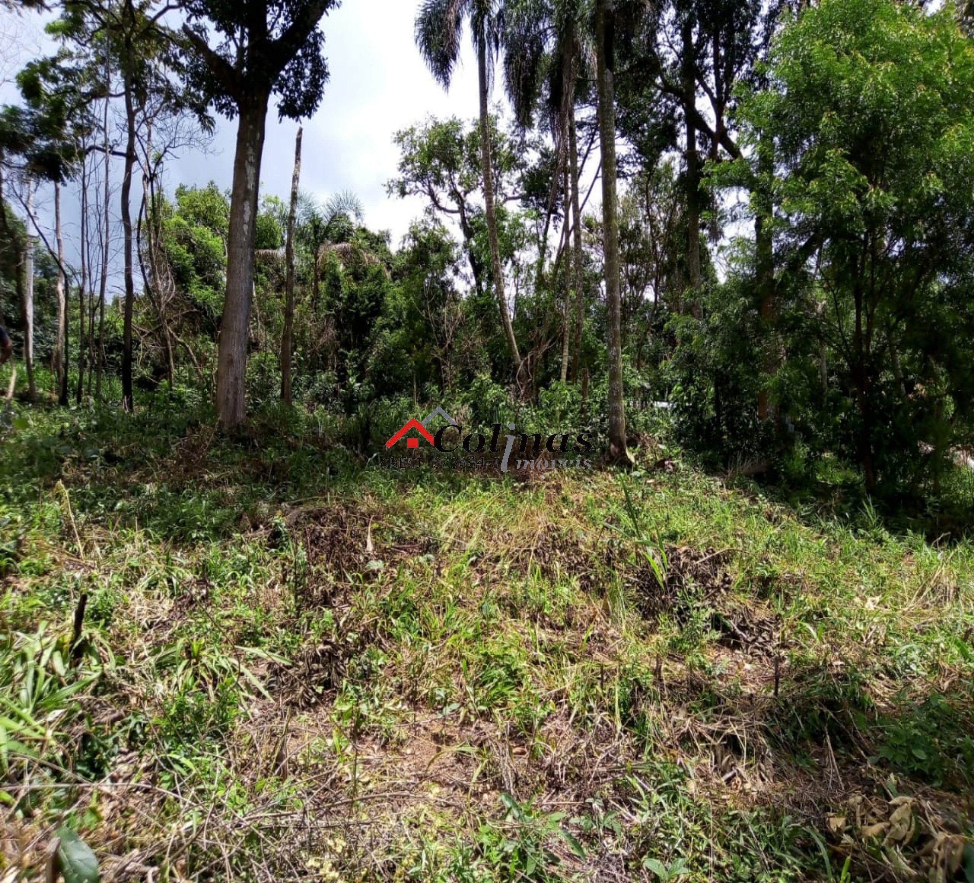 Terreno, 1600 m² - Foto 13