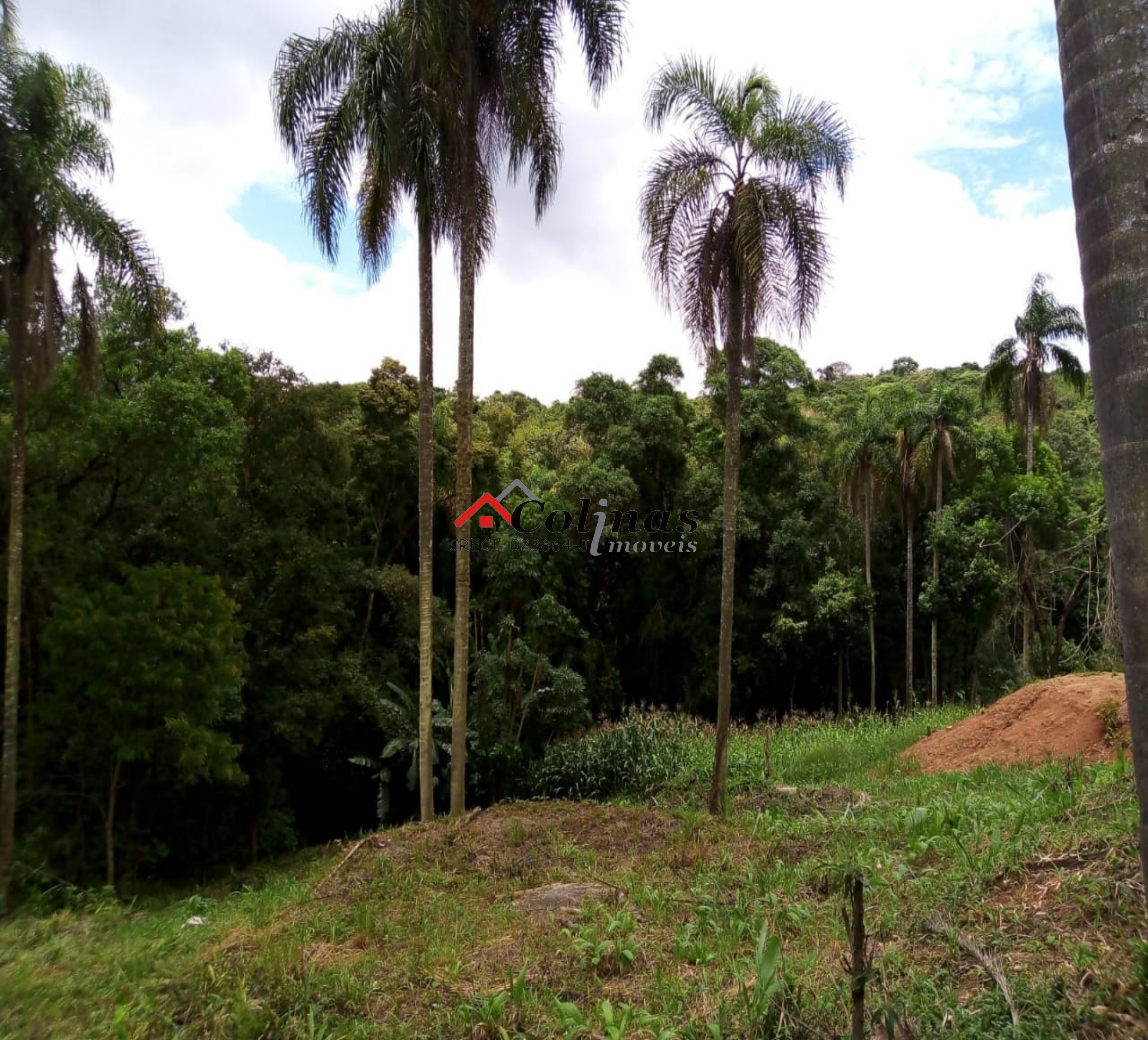 Terreno, 1600 m² - Foto 7