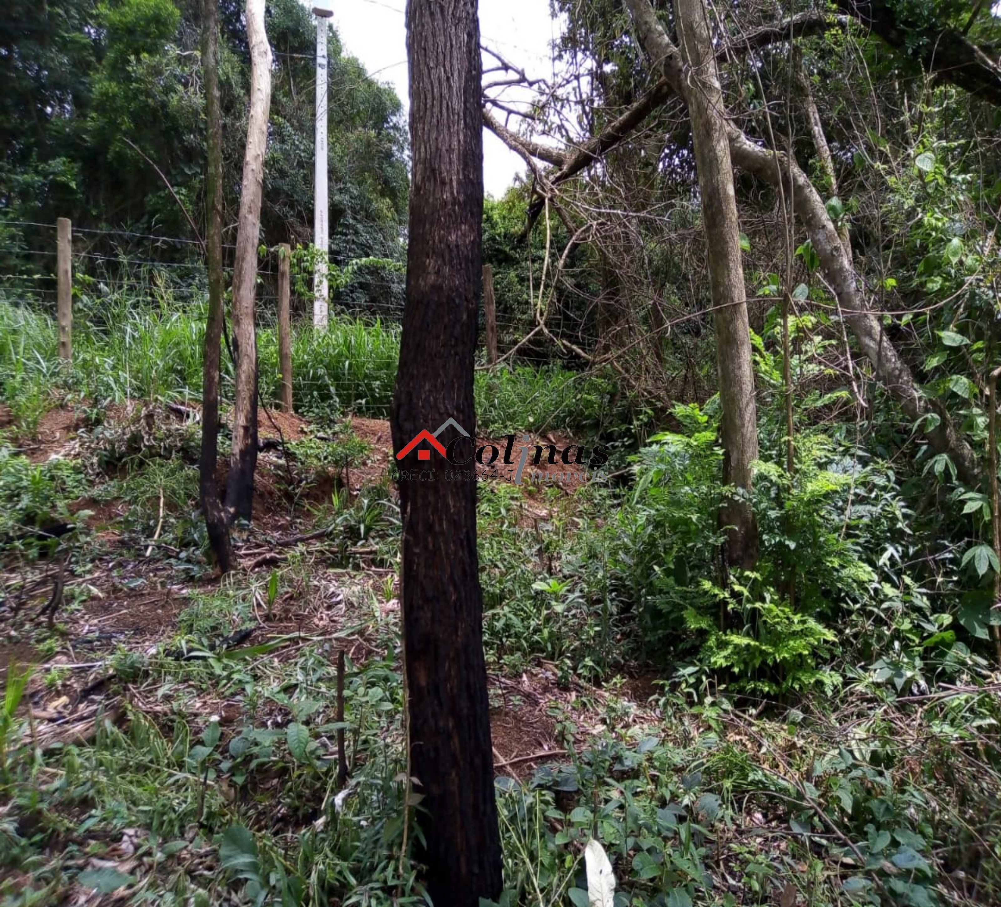 Terreno, 1600 m² - Foto 15