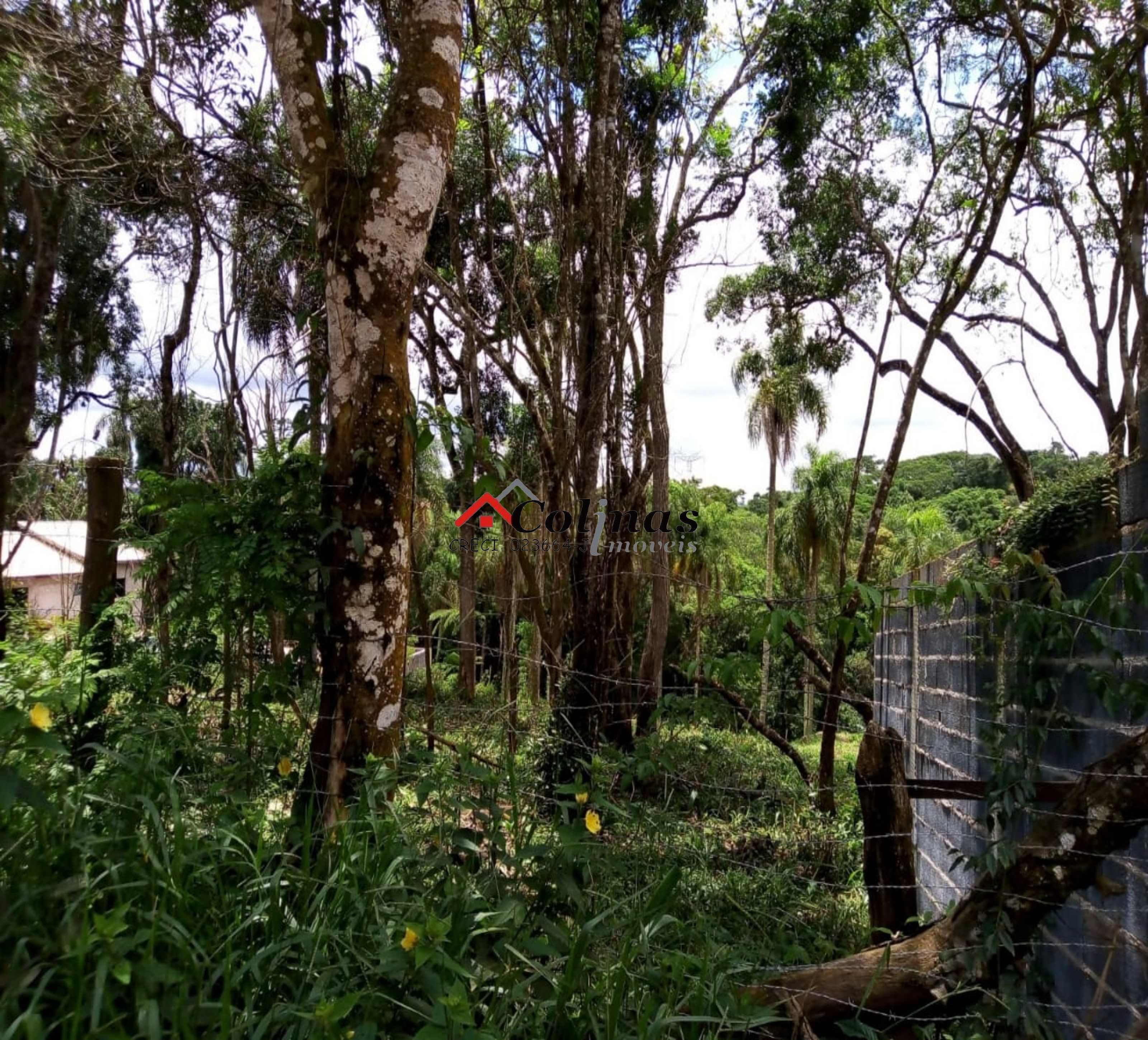 Terreno, 1600 m² - Foto 25