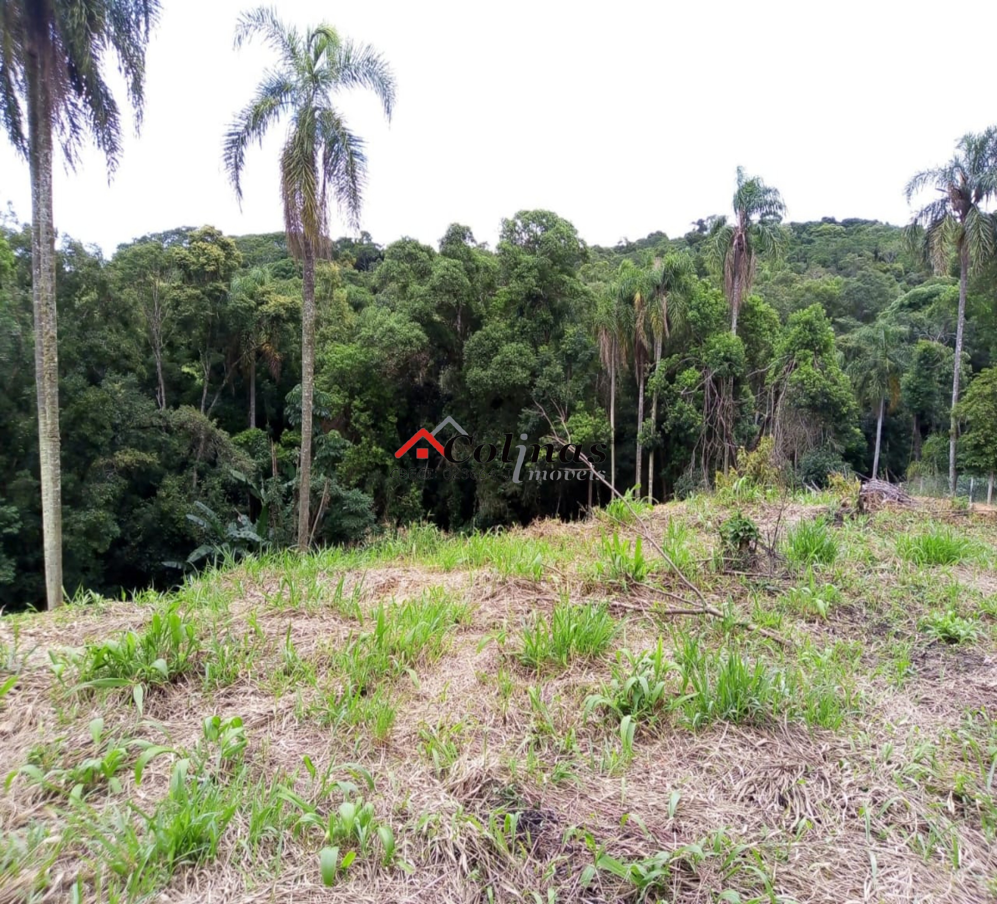 Terreno, 1600 m² - Foto 2