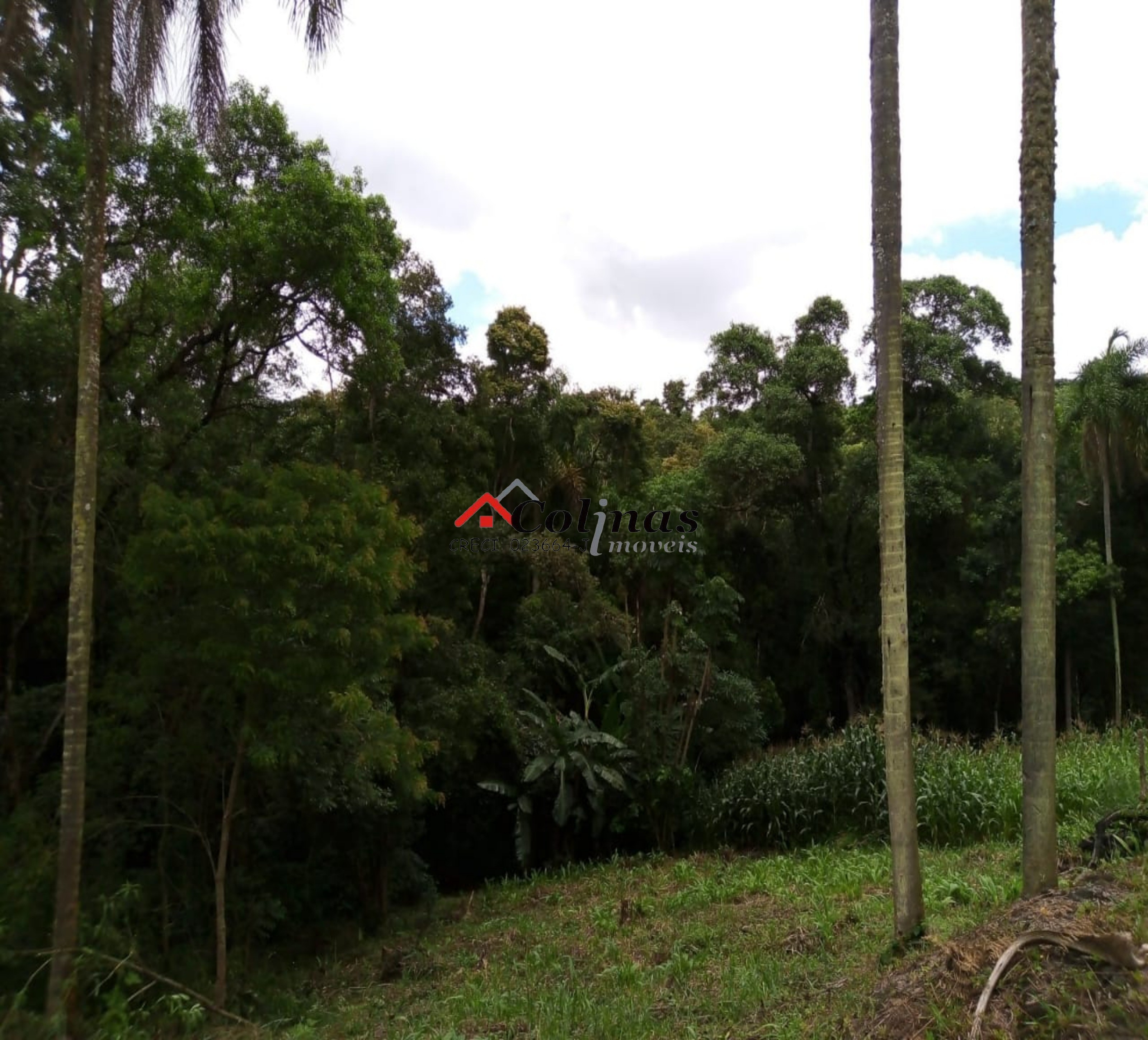 Terreno, 1600 m² - Foto 5