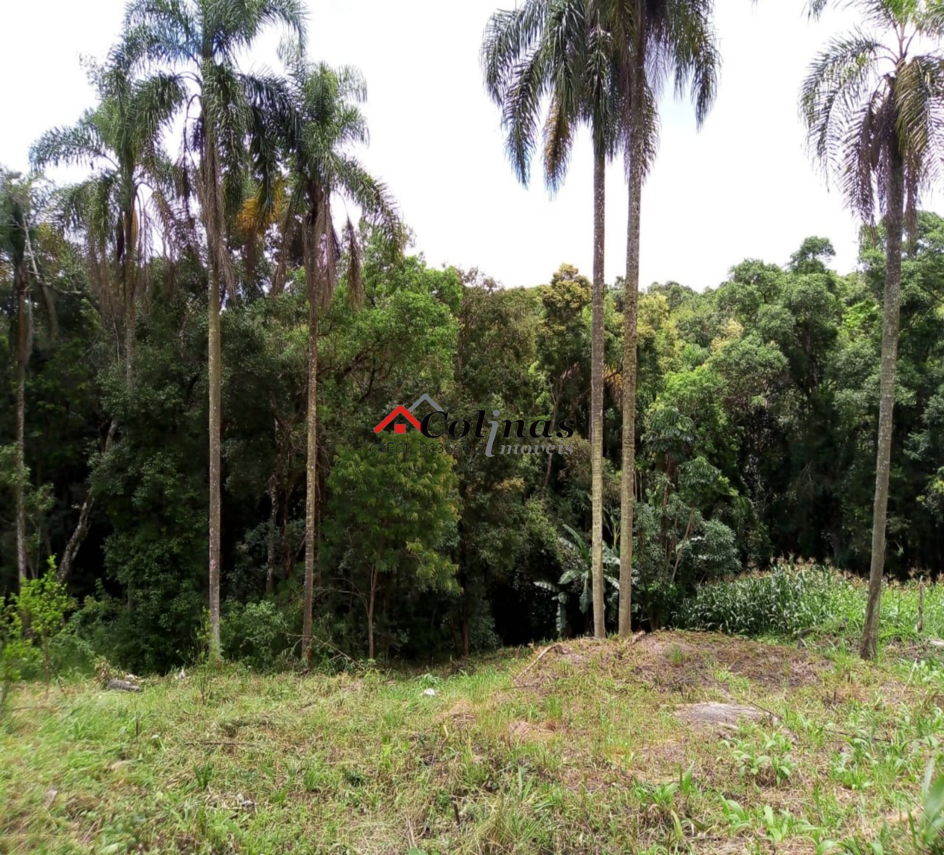 Terreno, 1600 m² - Foto 8