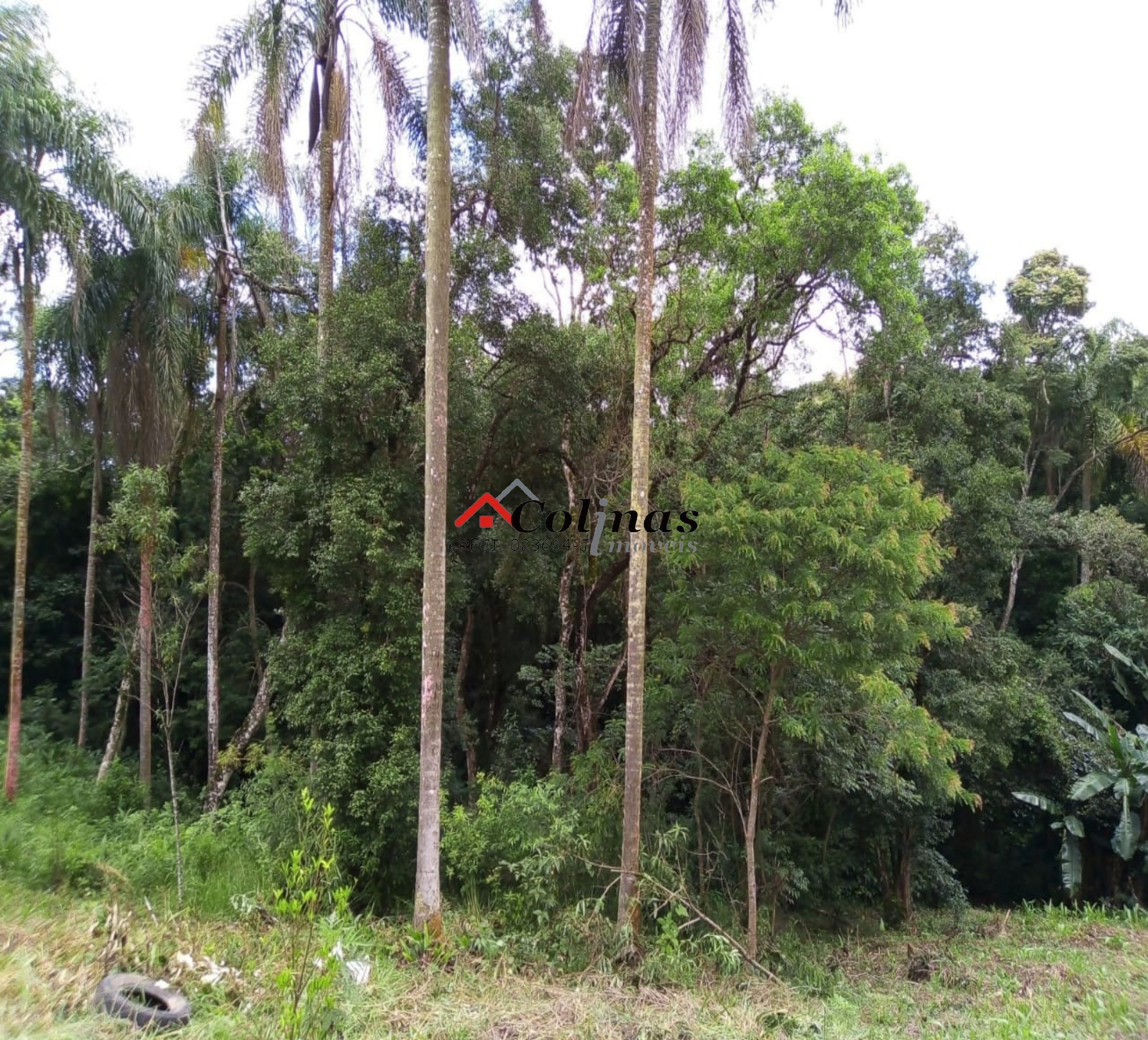 Terreno, 1600 m² - Foto 6