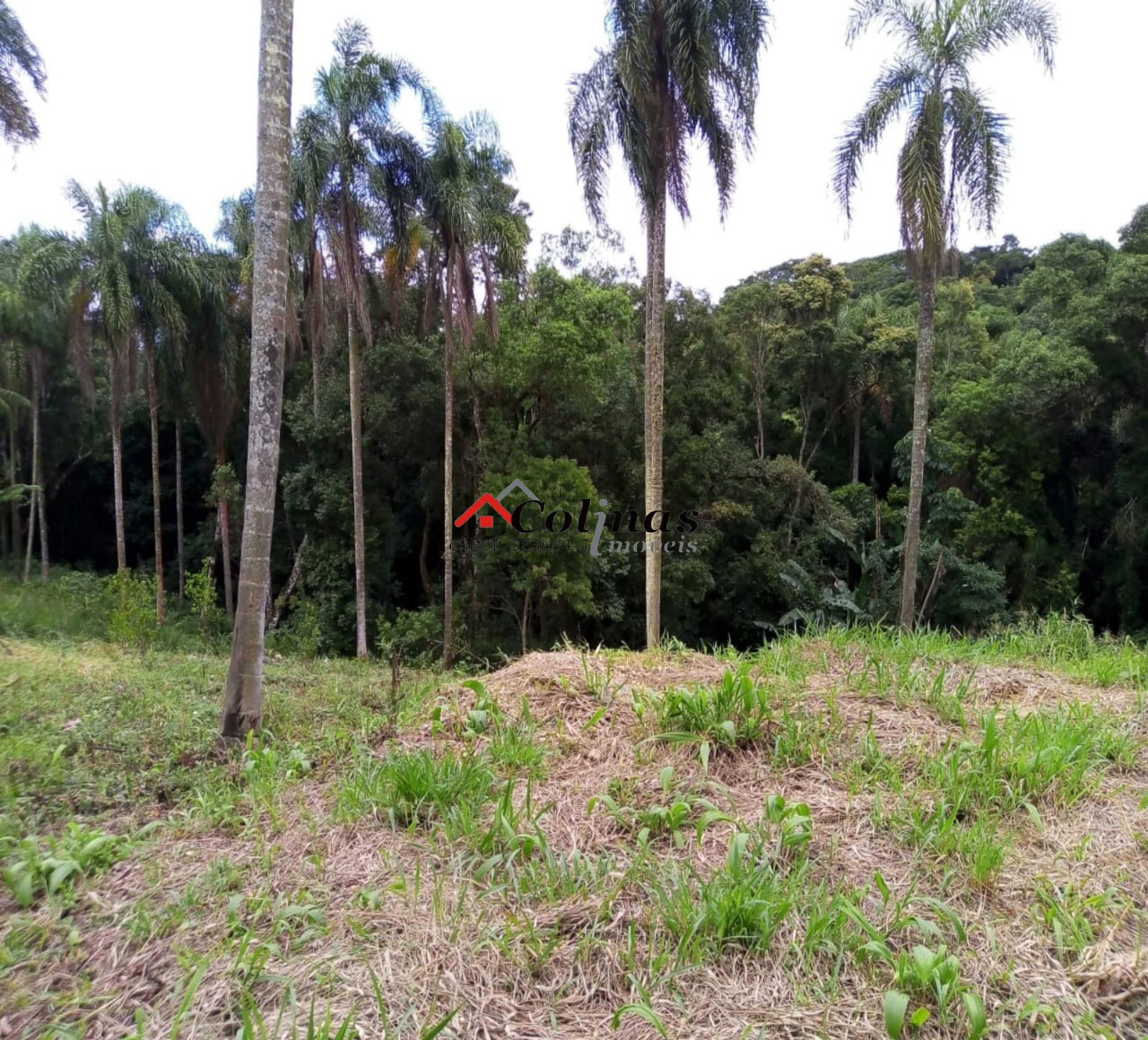 Terreno, 1600 m² - Foto 1