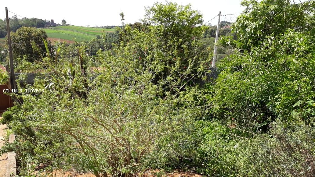 Chácara, 3 quartos - Foto 21