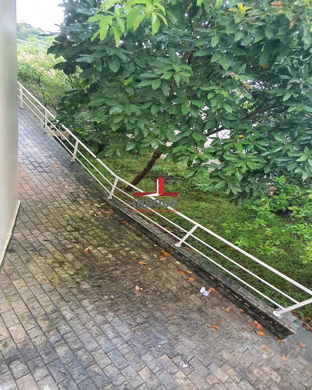 Imperdível oportunidade de adquirir casa com 3 quartos e 8 vagas de garagem no Lauzane Paulista, São Paulo-SP. Confira!
