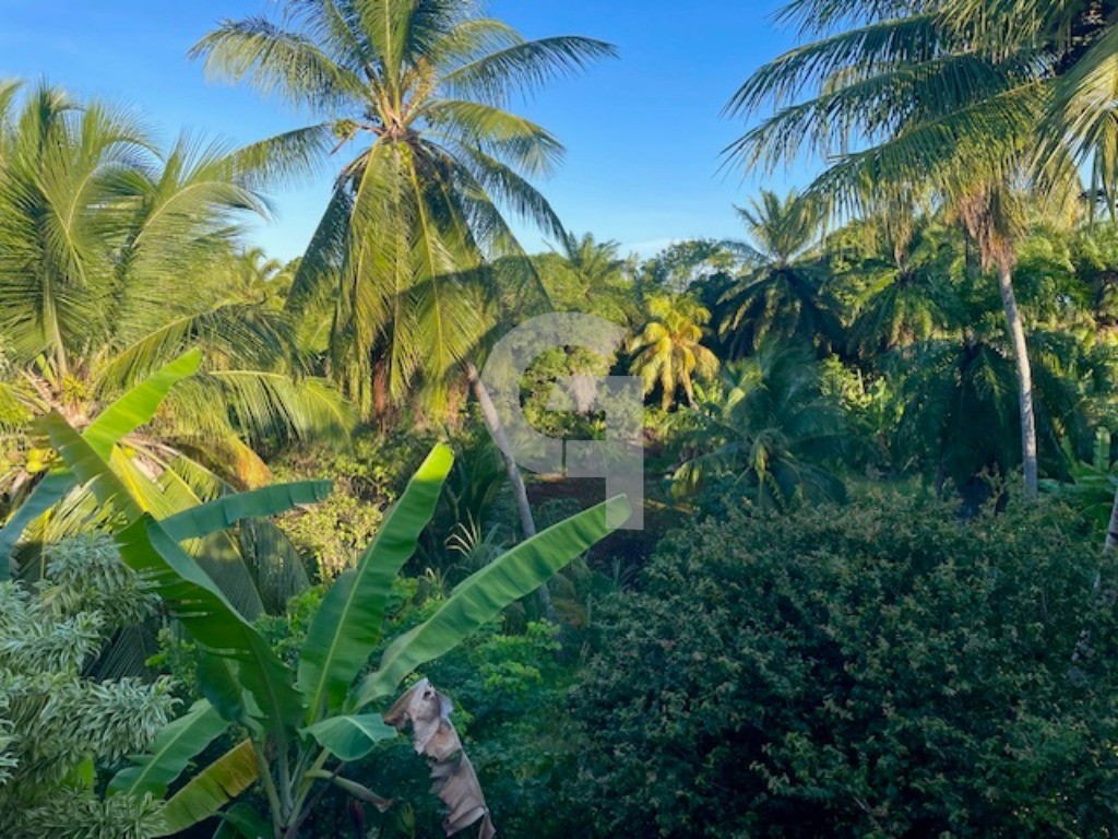 Casa, 4 quartos, 46 m² - Foto 44