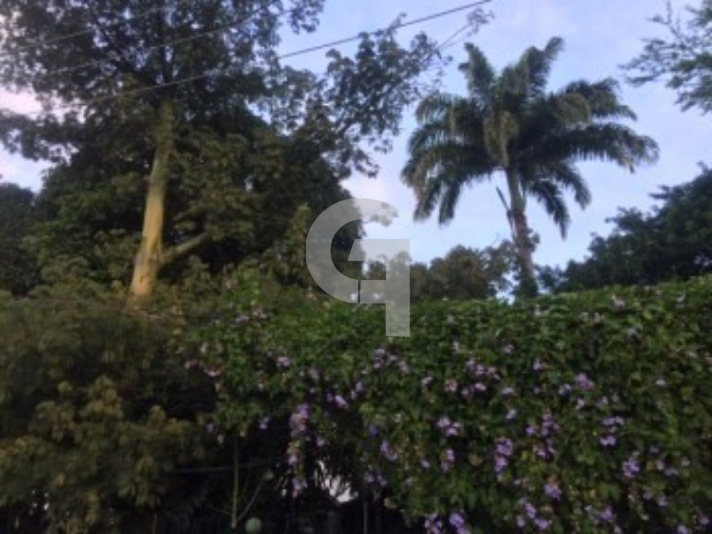 Casa, 3 quartos, 151 m² - Foto 49