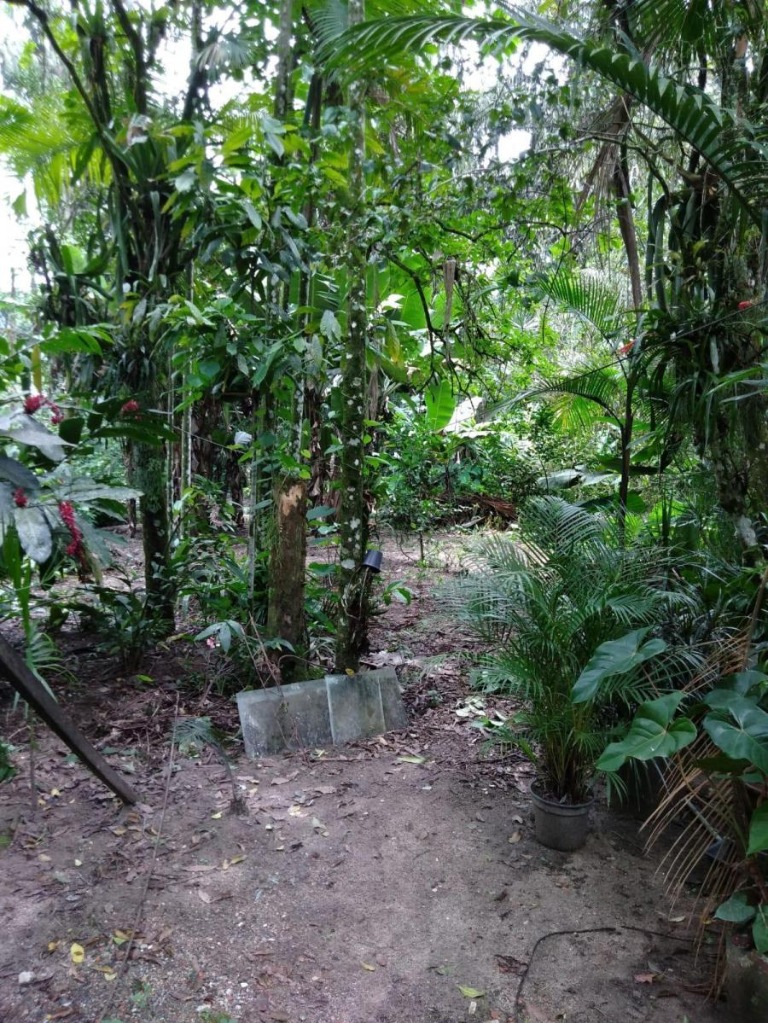 Casa temporada em são sebastião - sp, boiçucanga