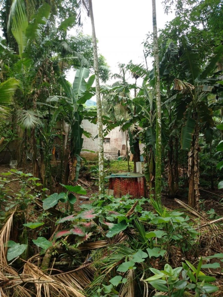 Casa temporada em são sebastião - sp, boiçucanga