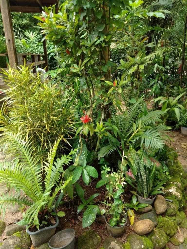 Casa temporada em são sebastião - sp, boiçucanga