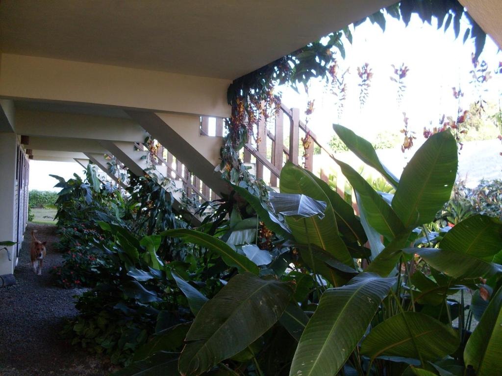 Casa temporada em são sebastião - sp, boracéia
