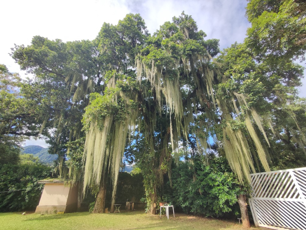 Casa residencial em são sebastião - sp, paúba