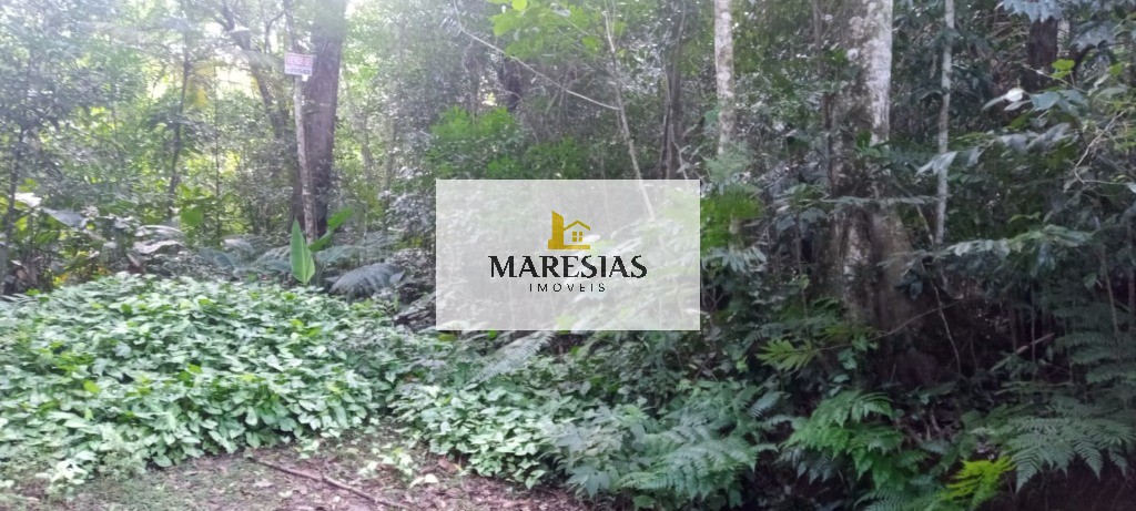 TERRENO RESIDENCIAL em são sebastiao - SP, maresias