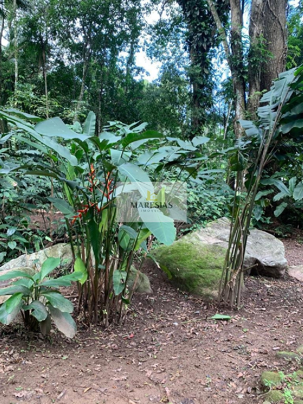 Terreno residencial em são sebastião - sp, maresias