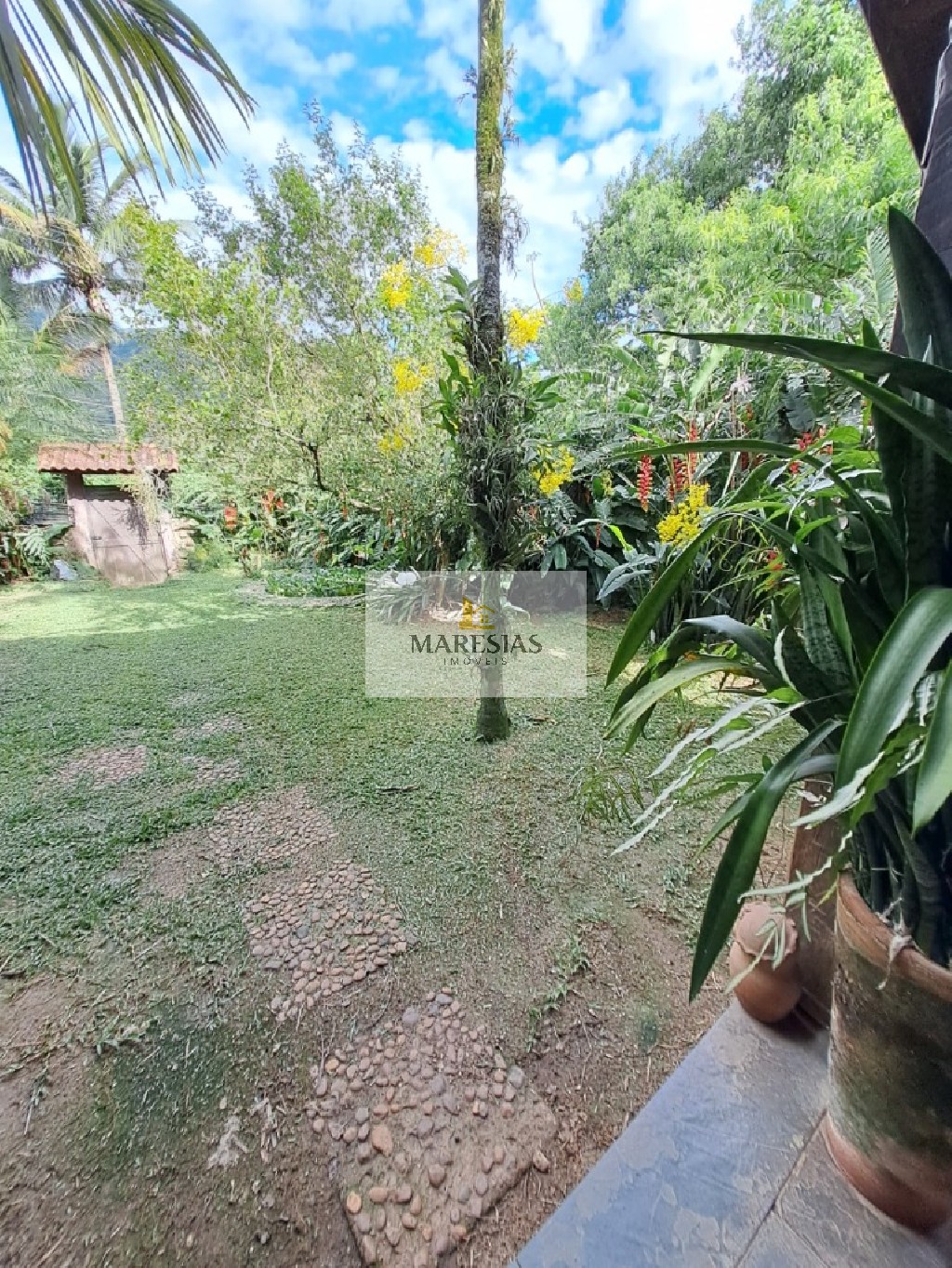 Explore a Beleza Natural de Maresias a Partir do Conforto de Sua Casa