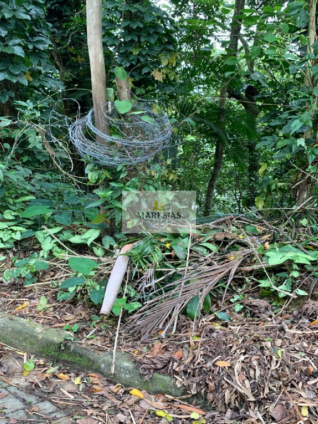 Terreno residencial em são sebastião - sp, boiçucanga