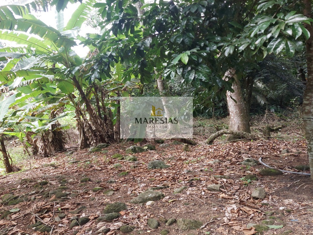 Oportunidade terreno em Maresias preço de ocasião