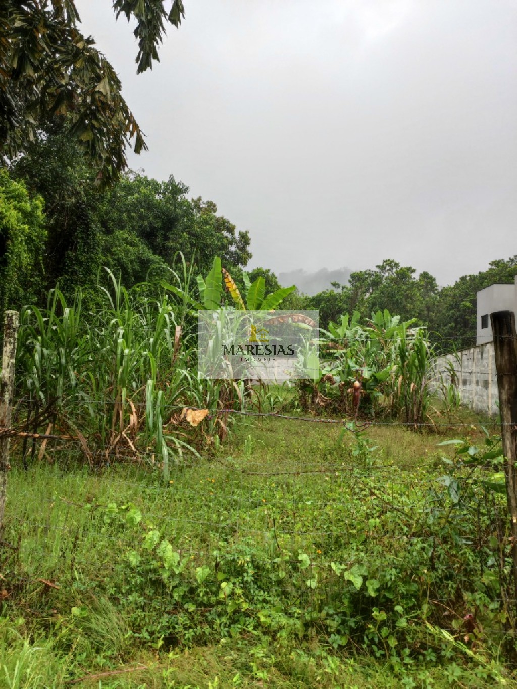 Terreno residencial em são sebastião - sp, camburi