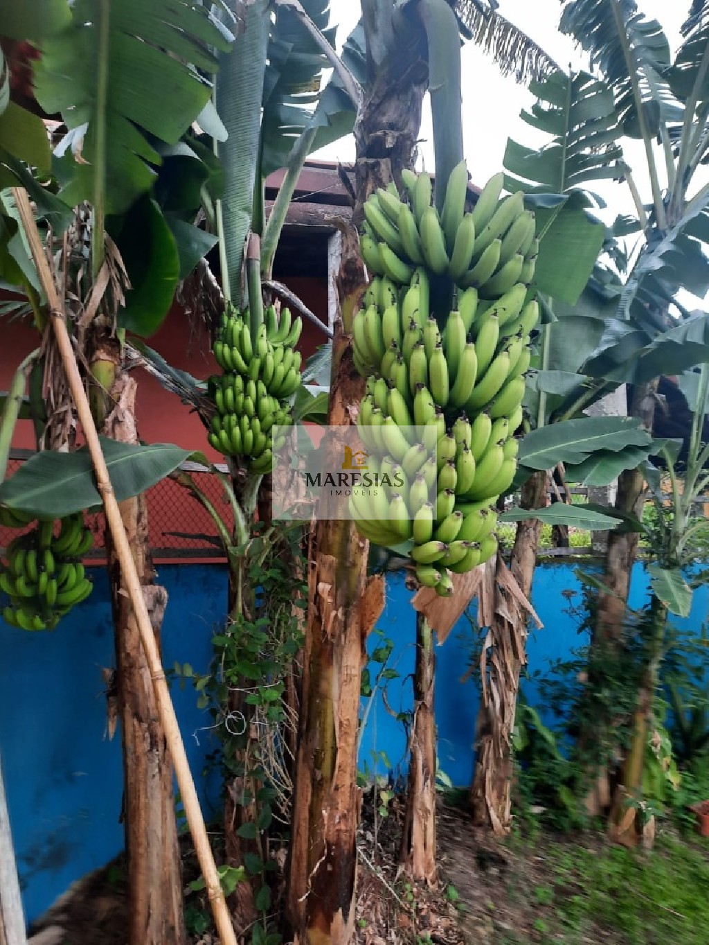Casa residencial em são sebastião - sp, boiçucanga