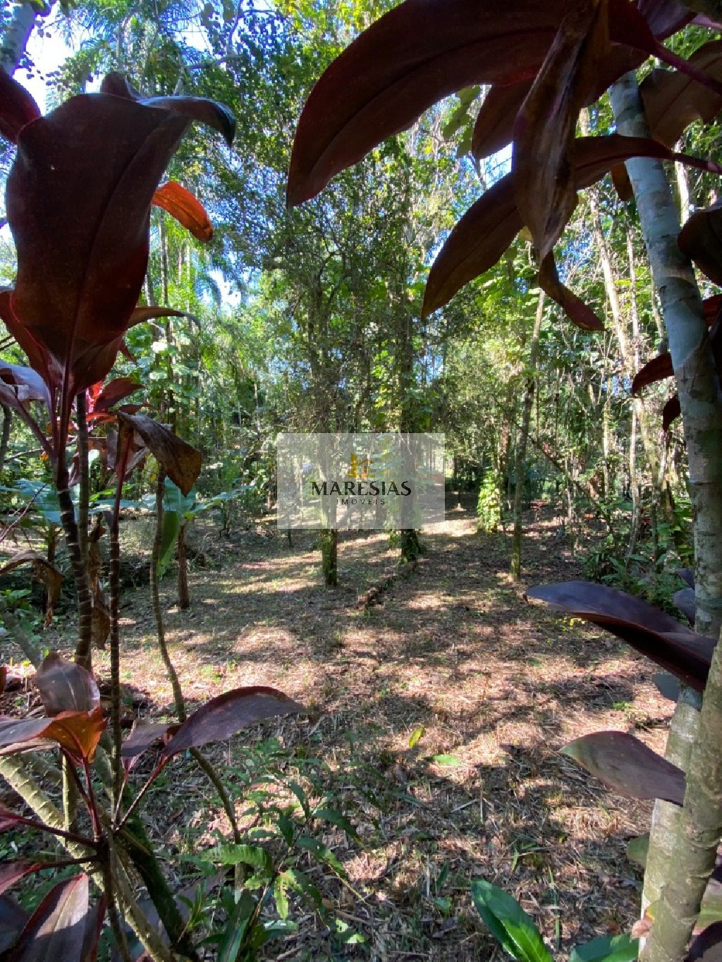 Terreno residencial em são sebastião - sp, sertão do piavu