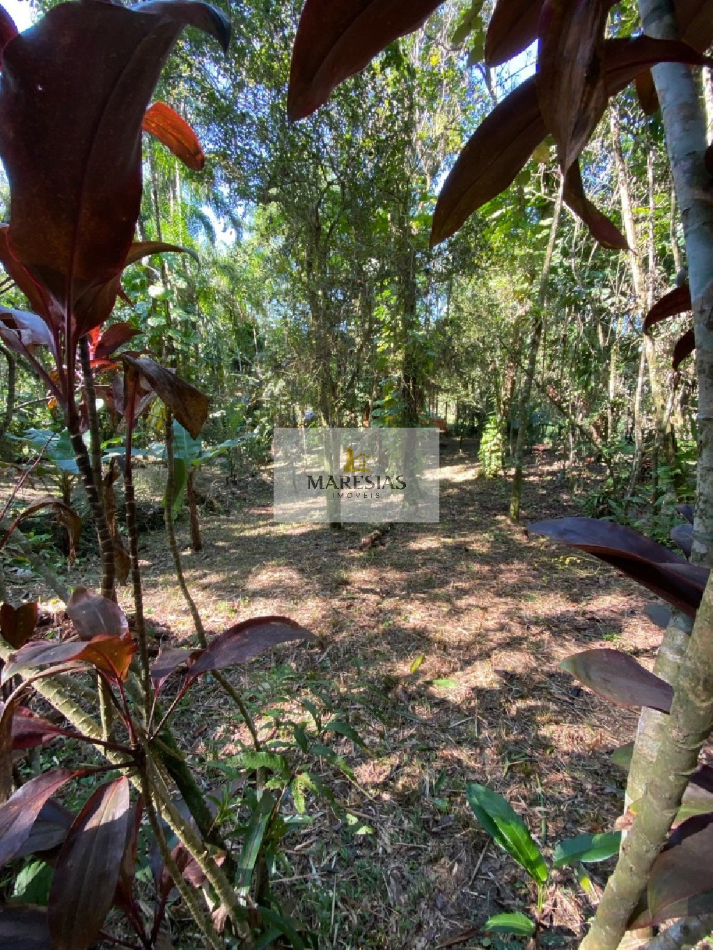 Terreno residencial em são sebastião - sp, sertão do piavu