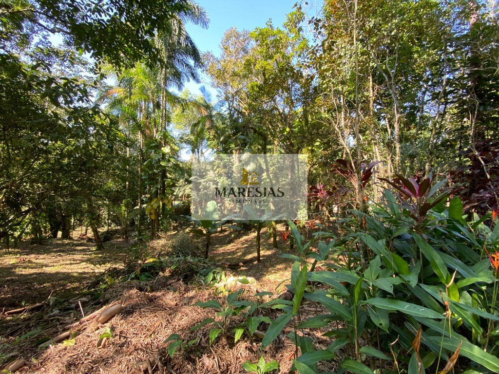 Terreno residencial em são sebastião - sp, sertão do piavu