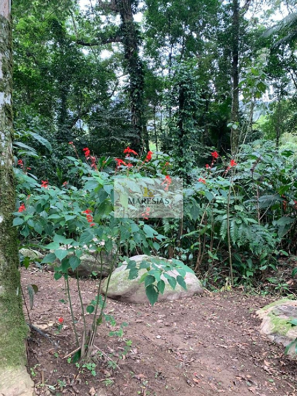 Terreno residencial em são sebastião - sp, maresias