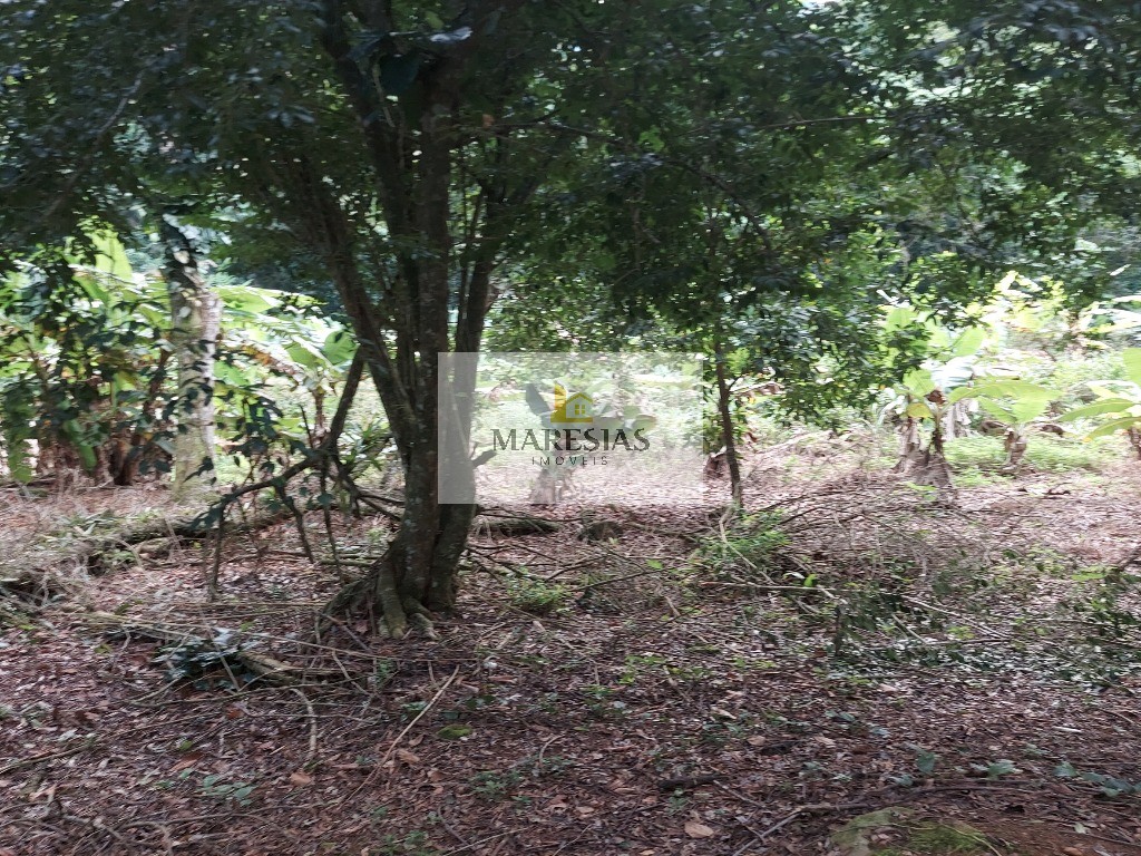 Oportunidade terreno em Maresias preço de ocasião