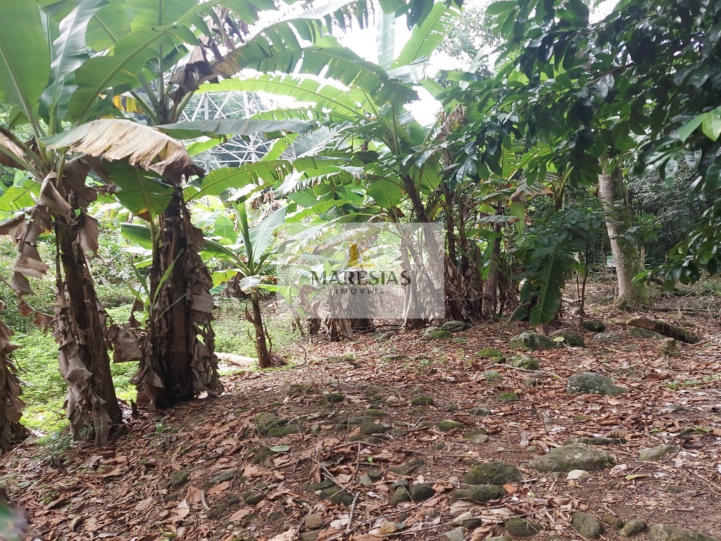Oportunidade terreno em Maresias preço de ocasião
