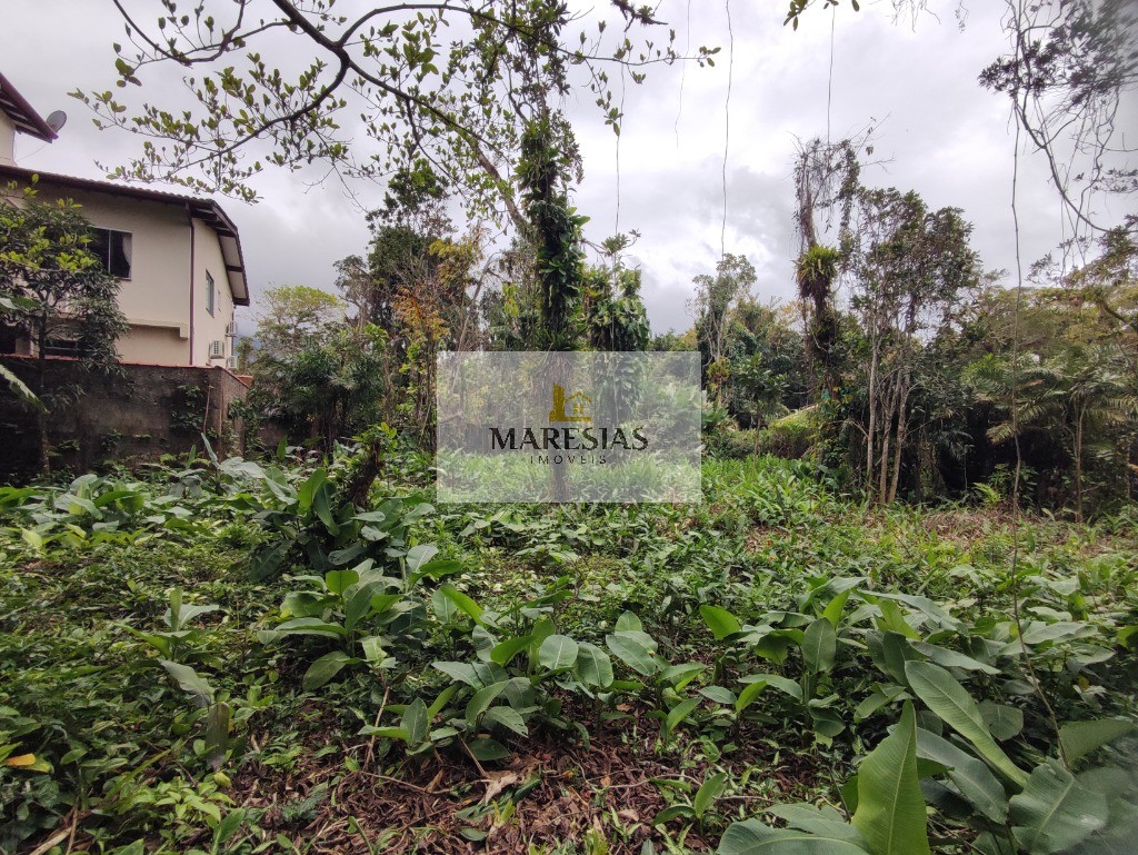 Terreno Exclusivo à Beira-Mar: 850m² de Natureza Preservada a 600m da Praia em Localização Premium!