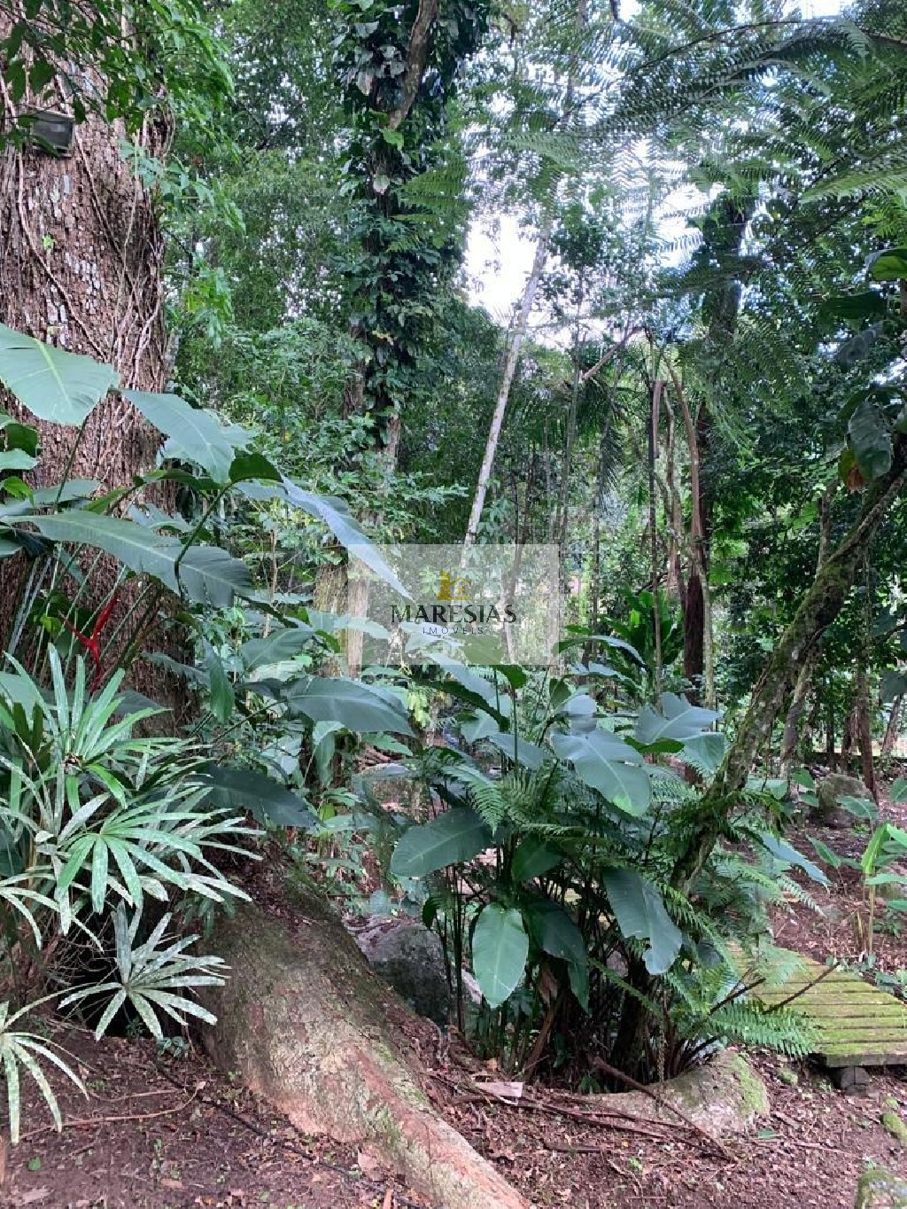 Terreno residencial em são sebastião - sp, maresias