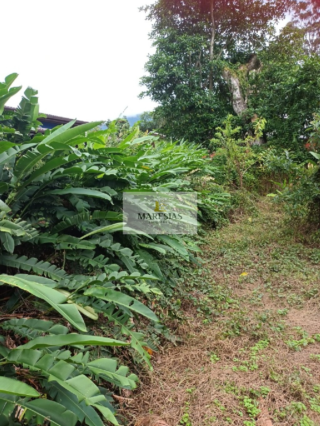 Terreno residencial em são sebastião - sp, maresias