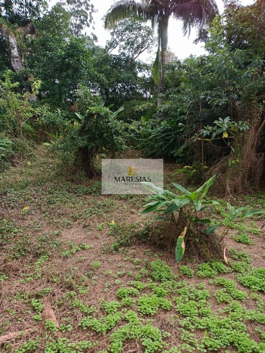 Terreno residencial em são sebastião - sp, maresias