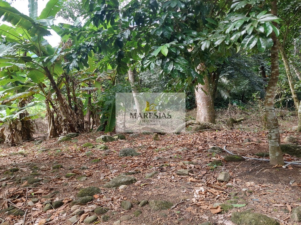 Oportunidade terreno em Maresias preço de ocasião