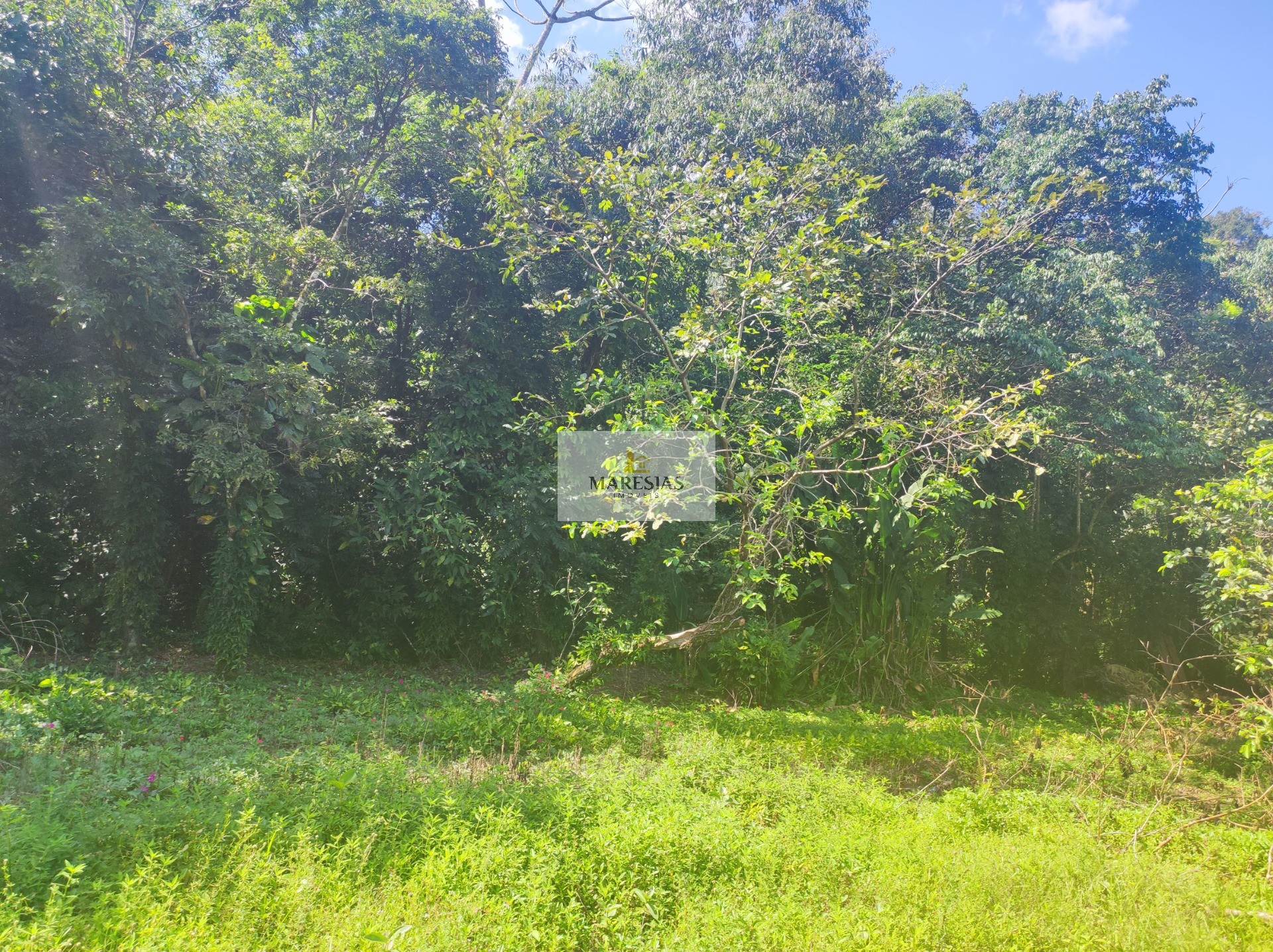 Terreno residencial em são sebastião - sp, maresias