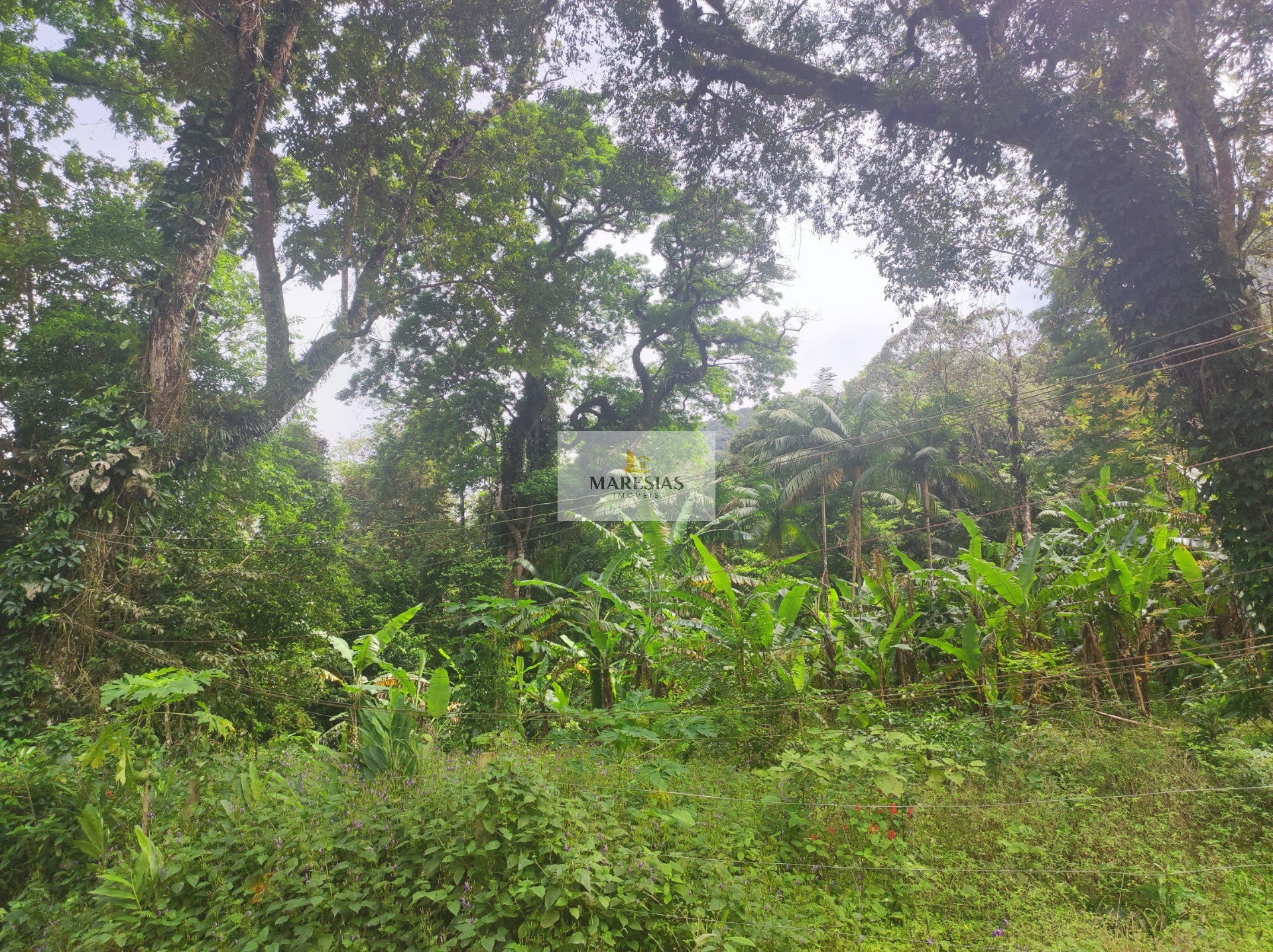 TERRENO RESIDENCIAL em São Sebastião - SP, Toque toque pequeno