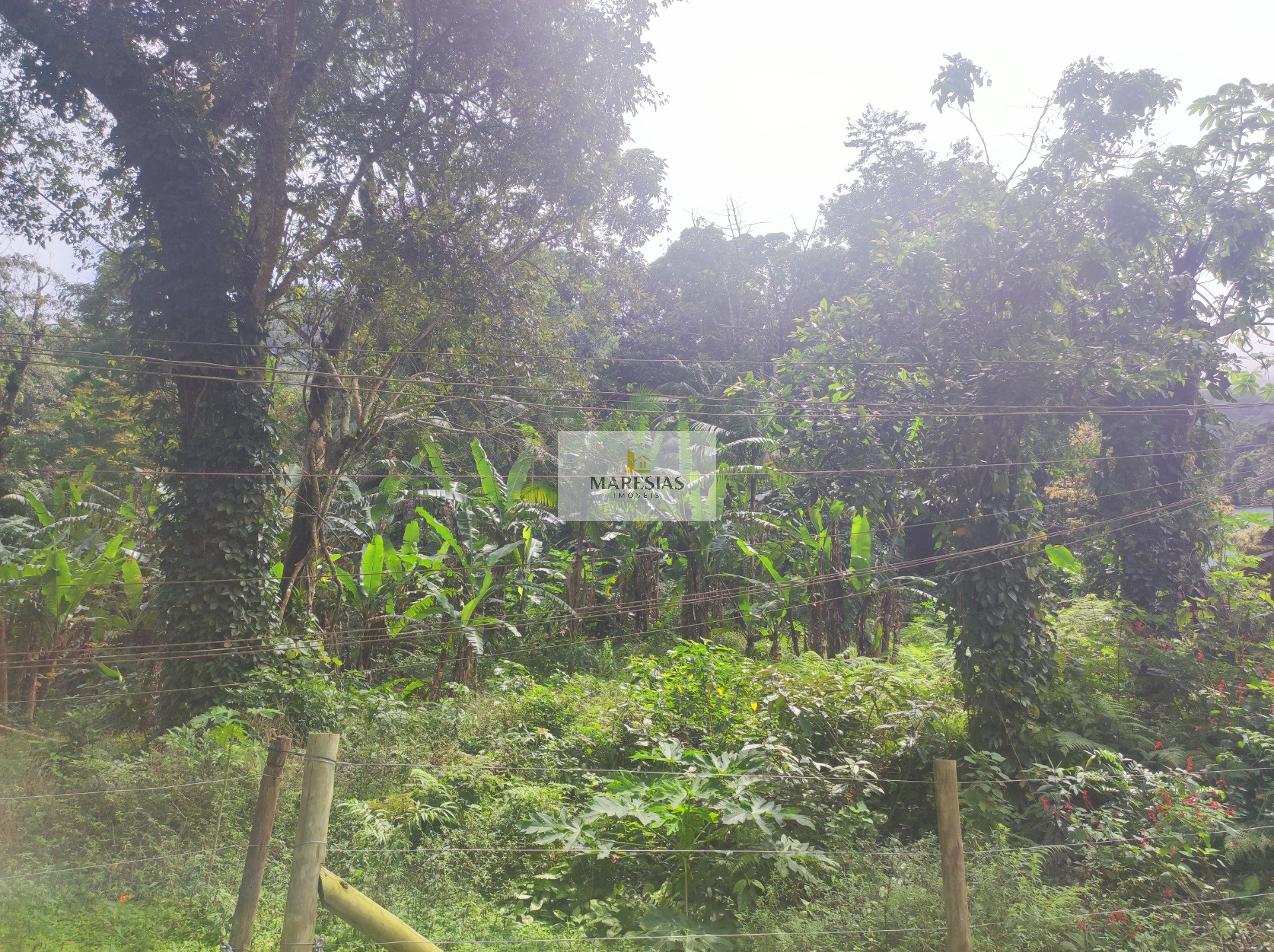 TERRENO RESIDENCIAL em São Sebastião - SP, Toque toque pequeno