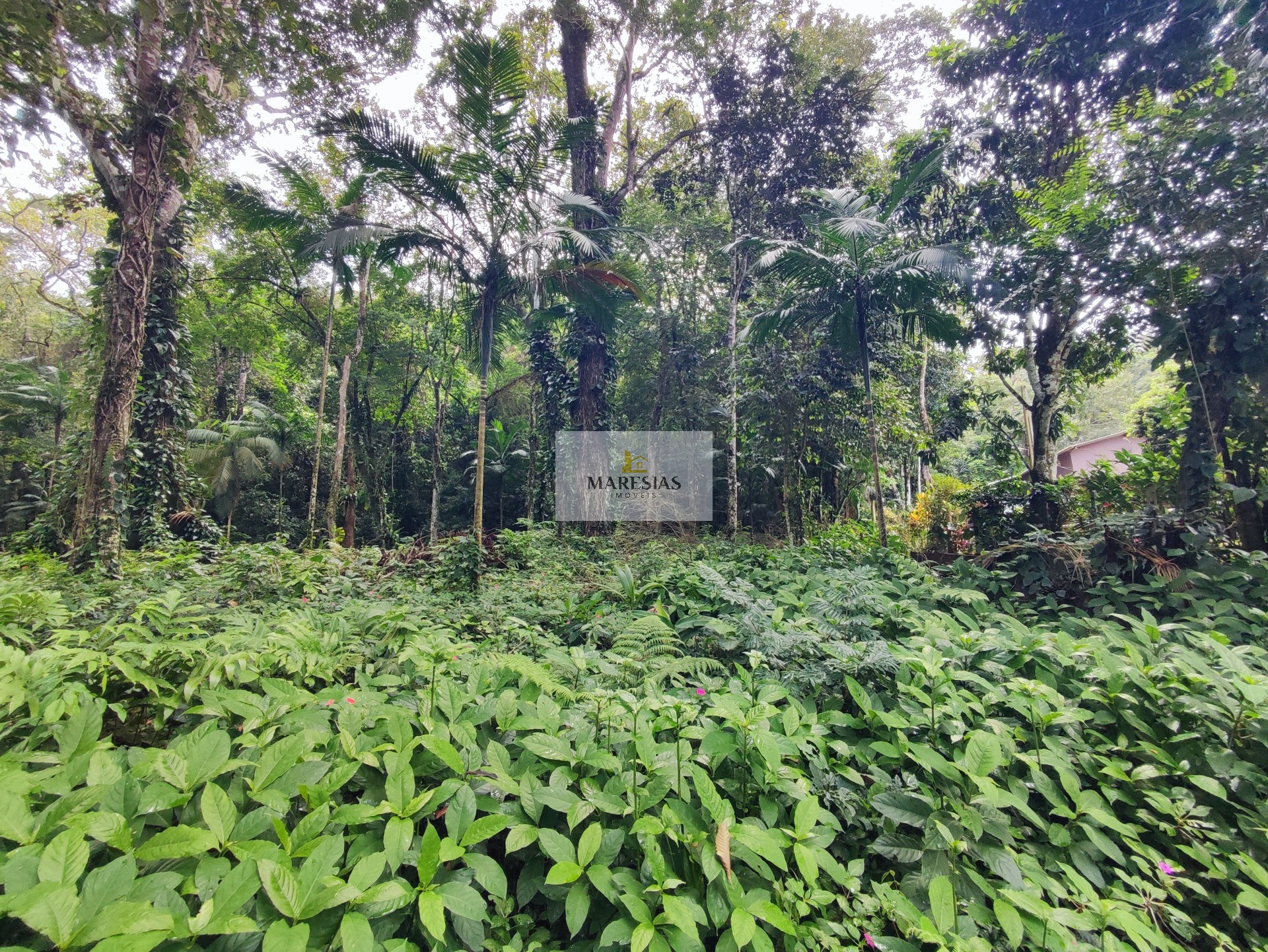 TERRENO RESIDENCIAL em São Sebastião - SP, Toque toque pequeno